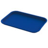 Blue Plastic Serving Tray | Size 14" x 18"