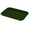 Green Plastic Serving Tray | Size 10" x 14"