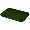 Green Plastic Serving Tray | Size 12" x 16"
