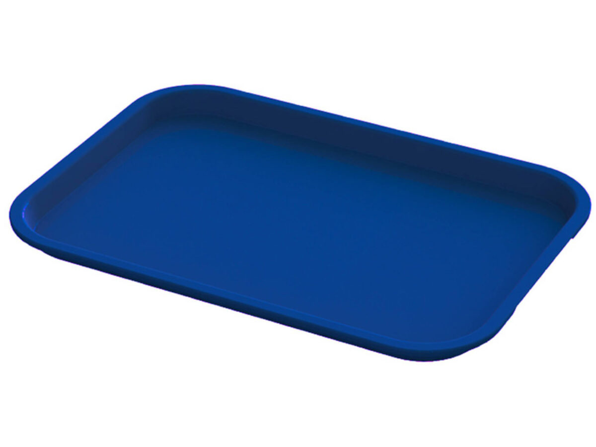 https://doyleshamrock.com/main/wp-content/uploads/schema-and-structured-data-for-wp/blue-plastic-serving-trays-10-x-14-inch-1200x900.jpg