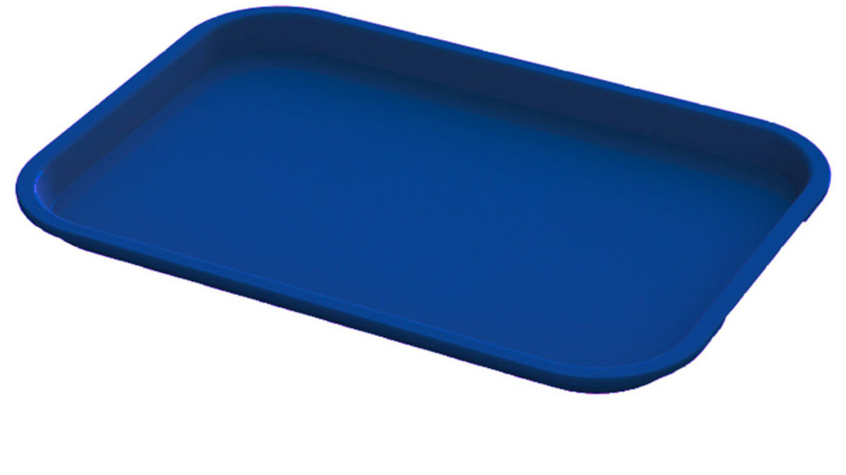 Tray: Blue Medium Sized Plastic Tray