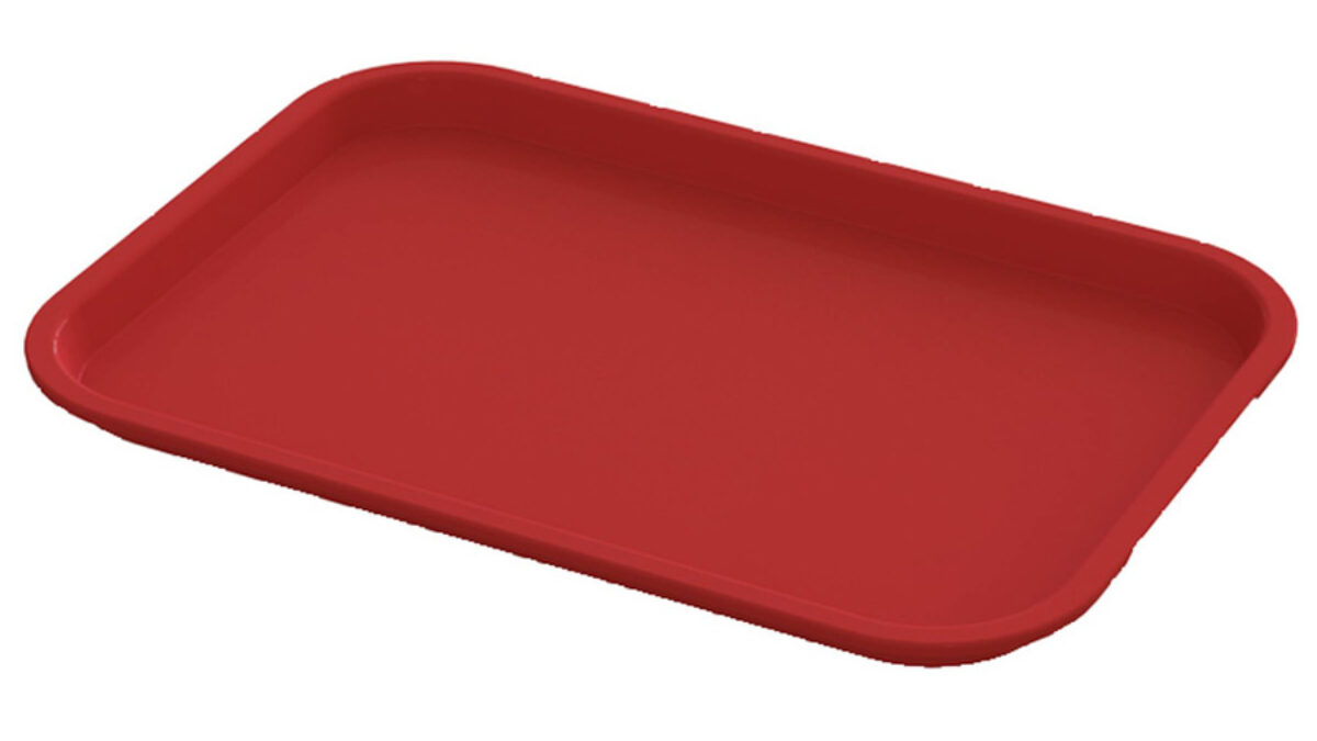 Lunch Plate, Large Red Bento Tray, 14x9.25